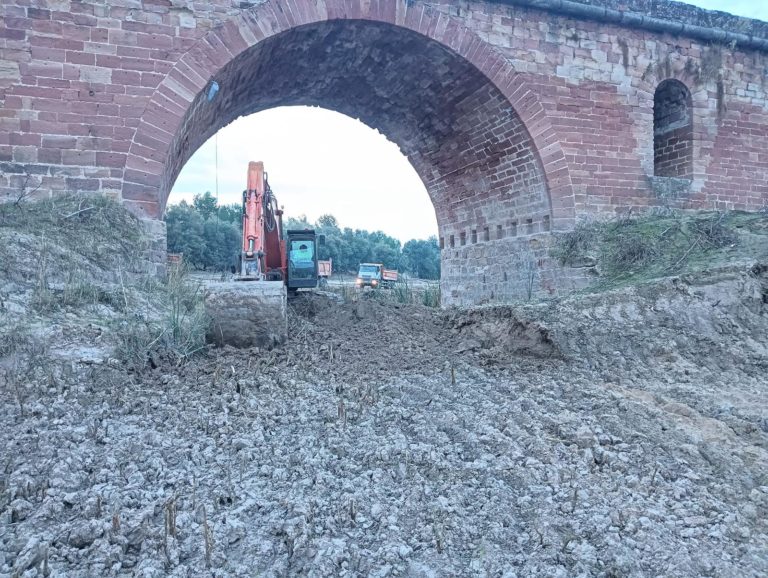 AVANZAN LAS LABORES DE MEJORA DE LA CONTINUIDAD FLVIAL EN LA RIBERA DEL GUADALQUIVIR